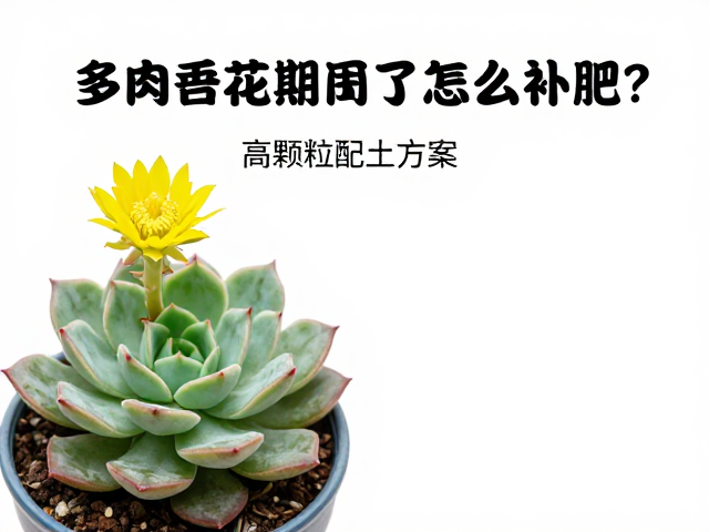 热门品种开花期的专属控型与施肥细节
