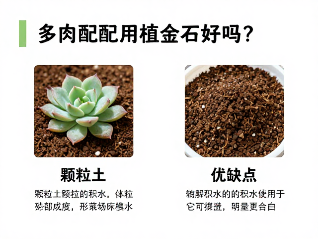 科学配土方案与实操建议
