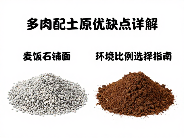 铺面层的生态功能与视觉美学价值