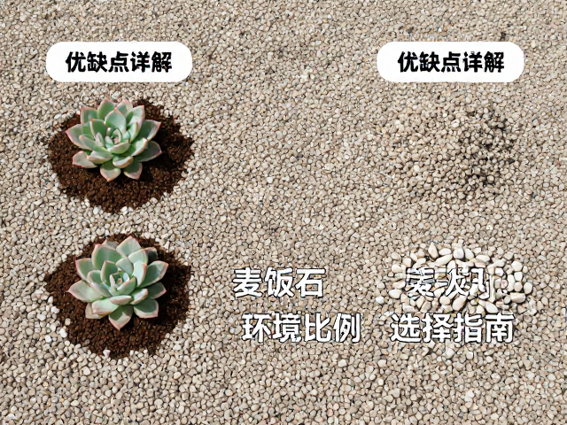 麦饭石铺面的长期维护与更换策略