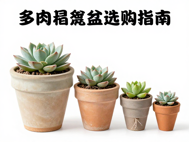 常见尺寸规格与根系匹配逻辑