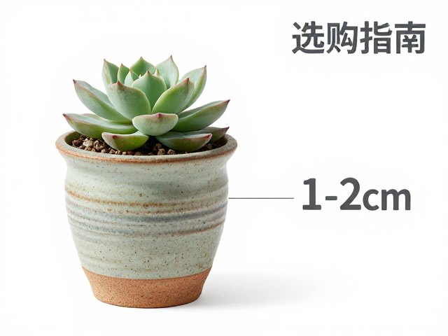 粗陶材质的透气性与排水机制