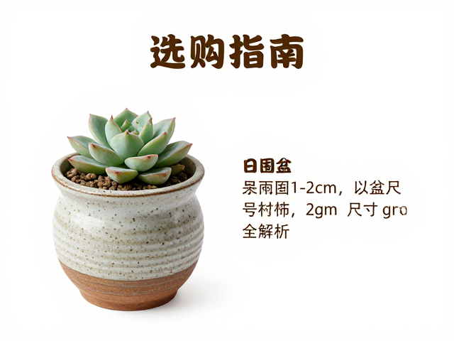 器型设计与种植场景的匹配