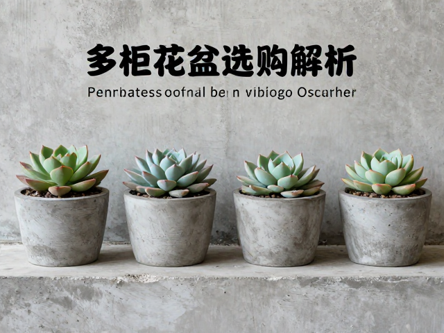 多肉花盆选购指南，水泥工业风与控根盆优缺点解析