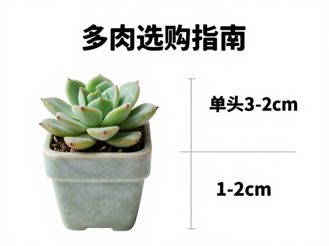 单头预留尺寸的计算逻辑
