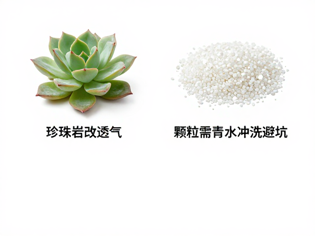 珍珠岩的透气改良作用与潜在问题
