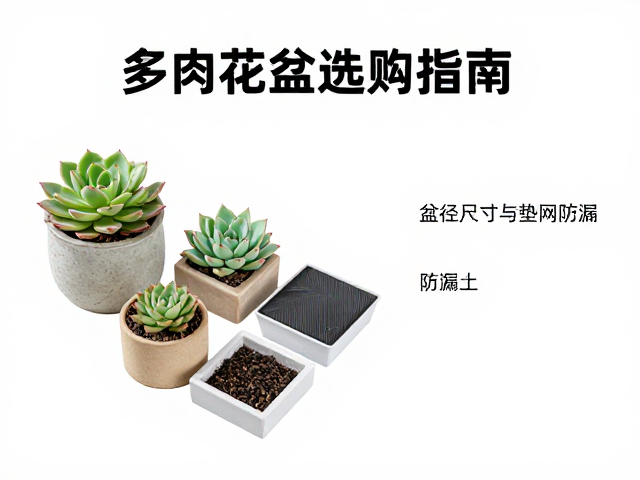 多肉花盆选购指南，材质尺寸与垫网防漏土技巧，盆径略大于冠幅更透气