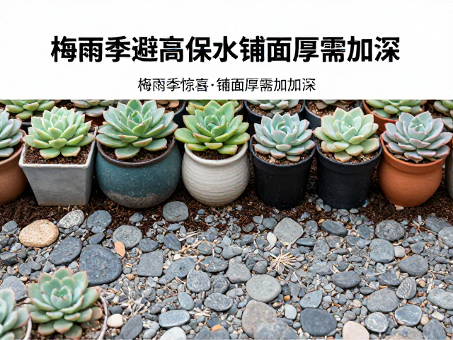铺面石厚度与土壤湿度的调控