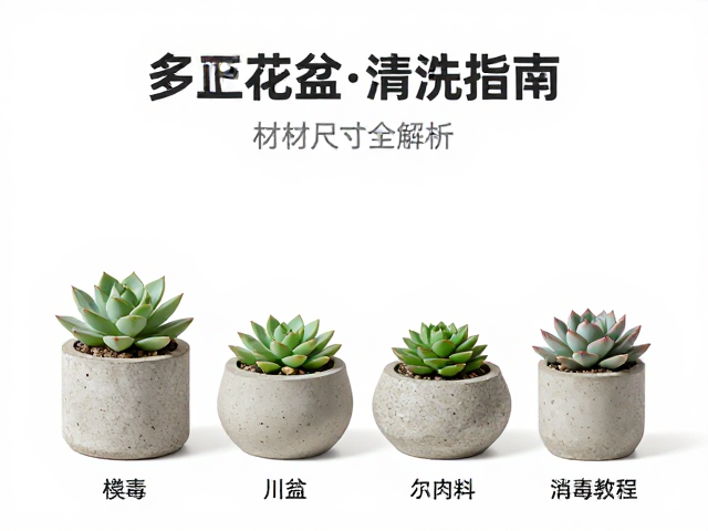 消毒杀菌与种植前准备