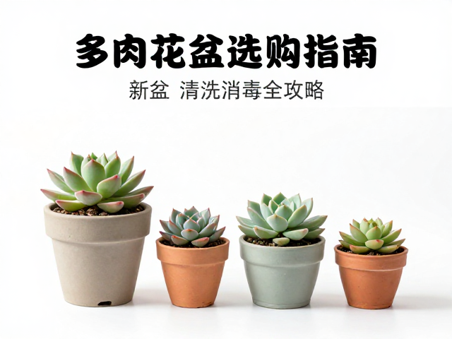 消毒杀菌与防虫措施