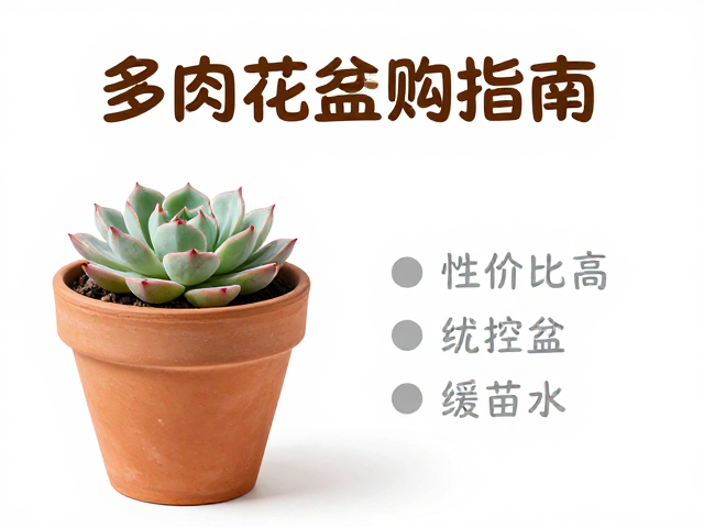 缓苗期的水分管理策略