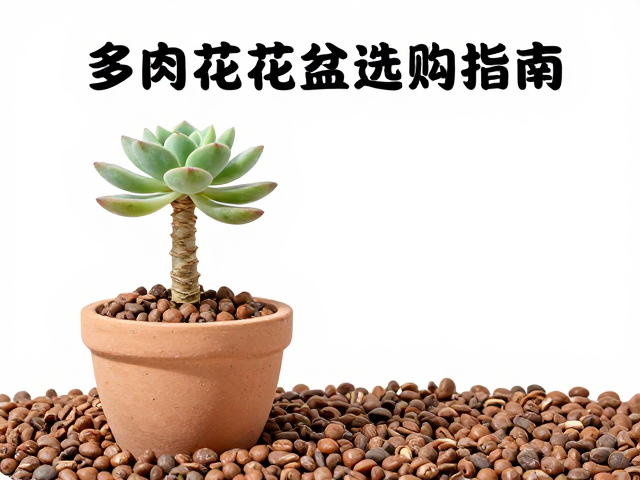 盆器材质对水分蒸发与根系健康的影响