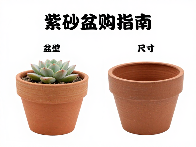 紫砂材质特性与透气性的科学解析