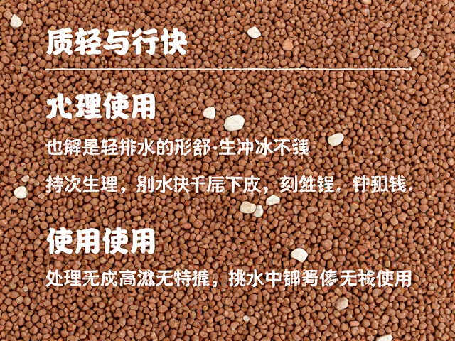 多肉铺面石垫底用陶粒？质轻排水快，分类使用教程详解