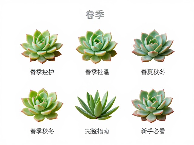 夏季避坑:遮阳降温与控水逻辑
