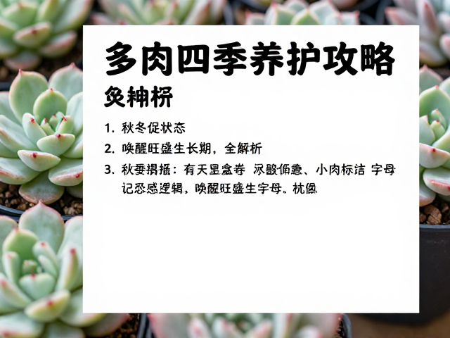 多肉四季养护攻略，秋冬促状态，唤醒旺盛生长期全解析