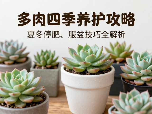 冬季低温环境的保暖与光照维持