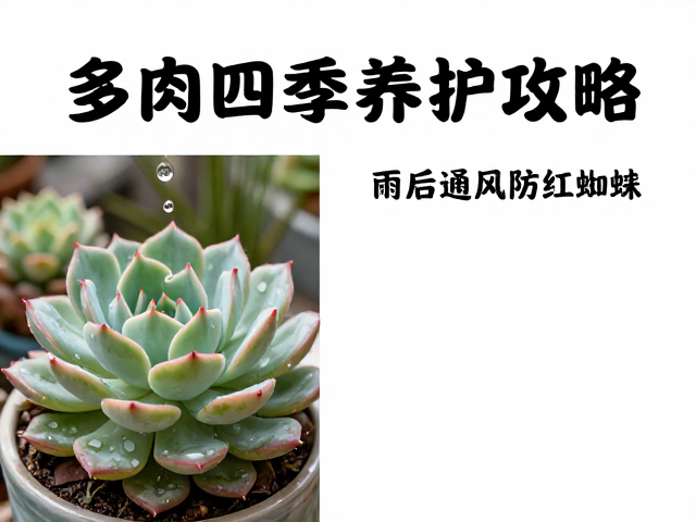 春季萌芽期的水分与光照管理