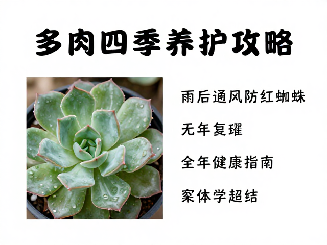 秋季降温期的过渡与复壮养护