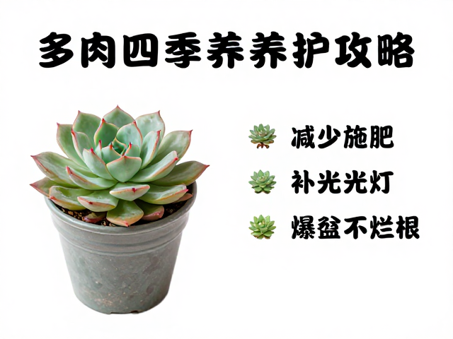 季节性调控与全年爆盆要点
