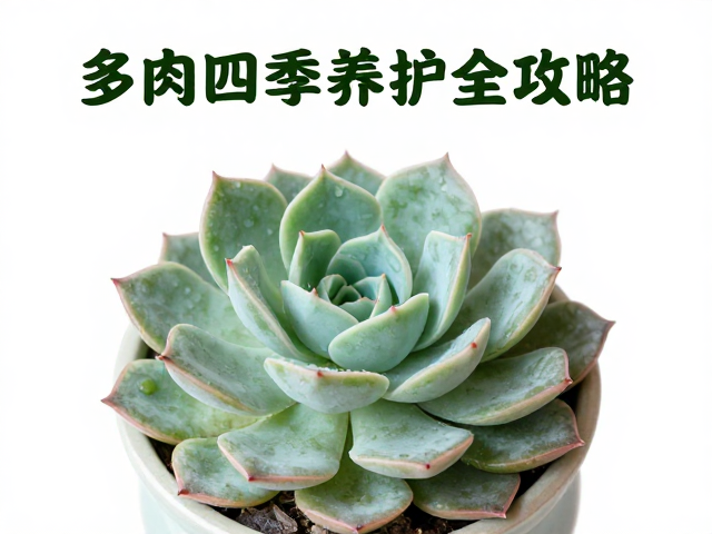 常见误区与应急处理