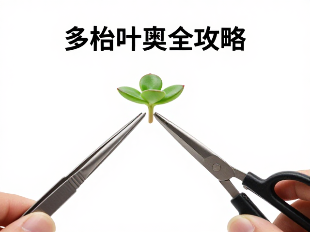 工具使用细节:镊子与剪刀的精准操控