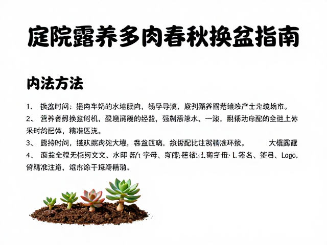 庭院露养多肉春秋换盆指南，大棚露养养护完整方法
