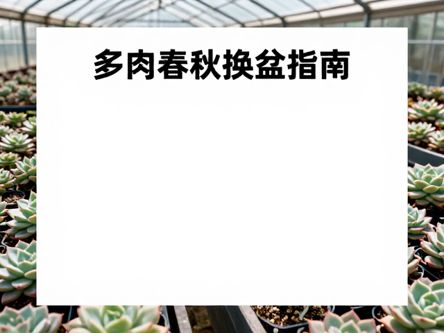 露养环境的光照与通风管理