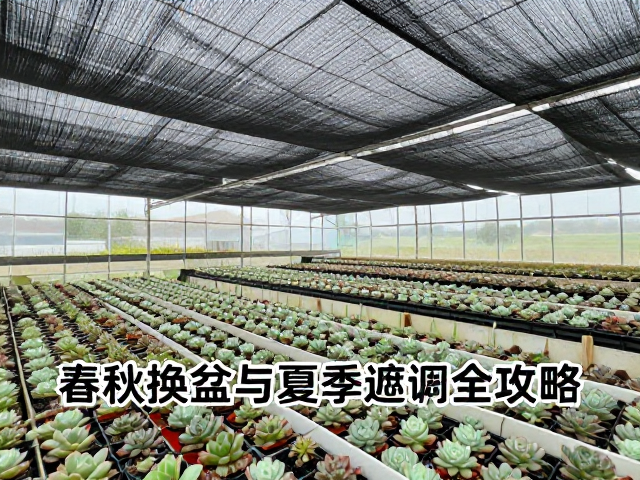 夏季遮阳网的使用策略与环境调控