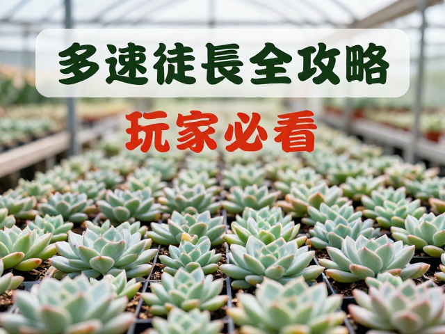 光照管理与温度调控策略