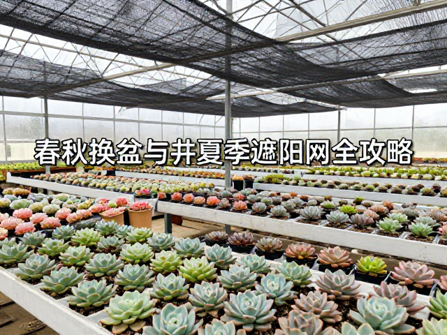 露养环境与季节性养护细节