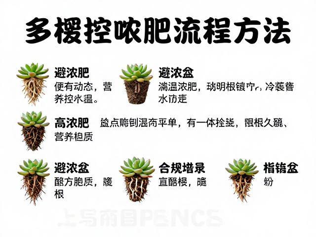 避浓肥的施肥原则与营养供给