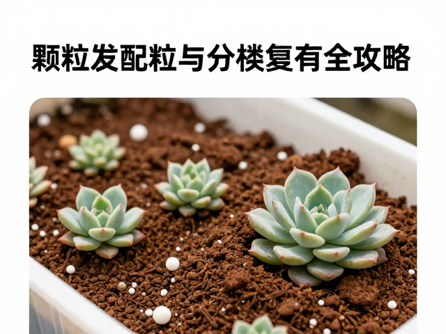 高颗粒土配土的科学逻辑与执行细节