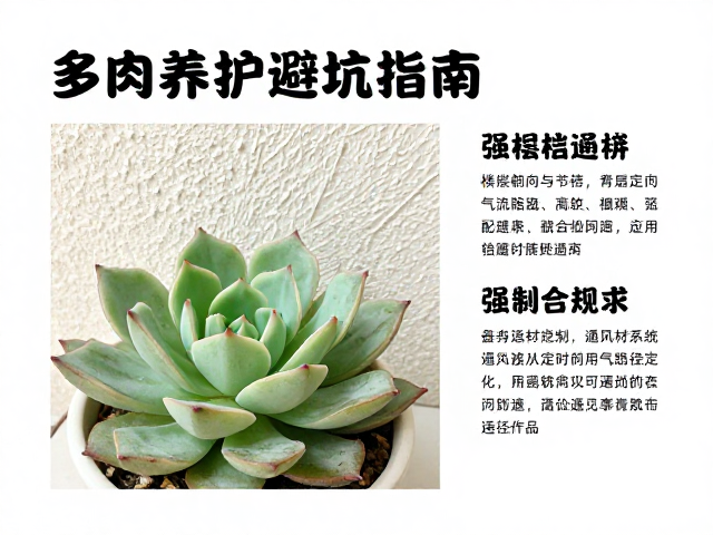 通风系统定制与气流路径优化