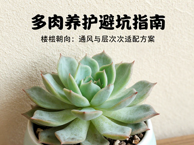 环境参数监测与动态调整机制