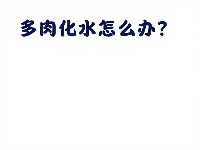 多肉化水怎么办？临时布景下的养护误区与场景适配指南