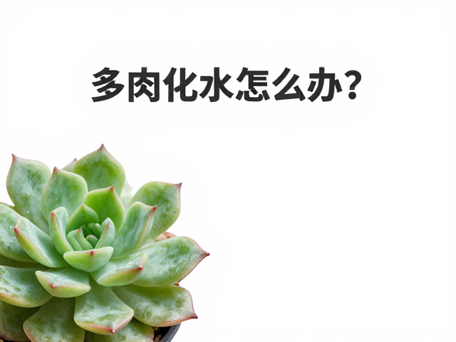临时布景下的环境误区剖析