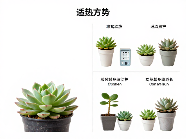 温湿度控制与通风系统的适配策略