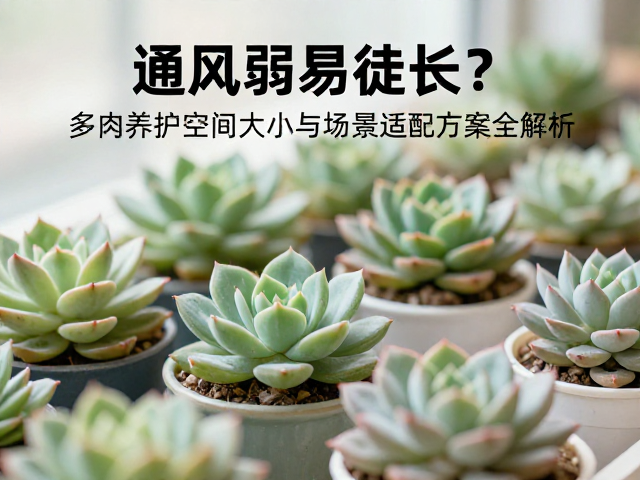 环境参数监测与动态调整机制