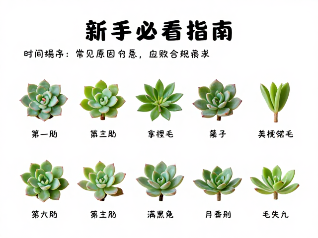 常见失败原因分析与应急处理