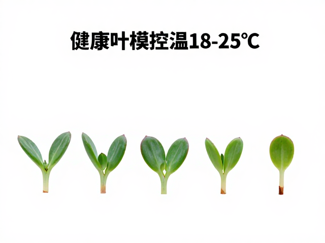 基质准备与环境温湿度控制