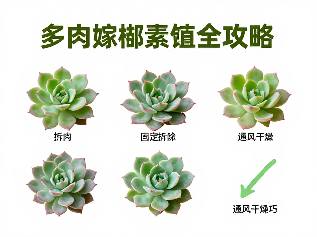 通风干燥环境的构建与湿度控制策略