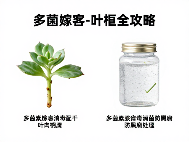 常见误区与应急处理方案
