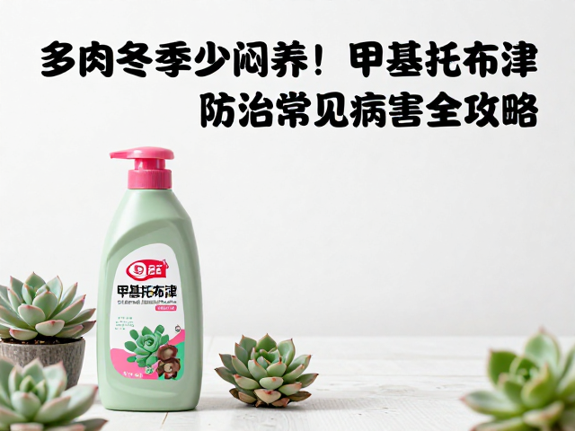 冬季环境调控与综合管理