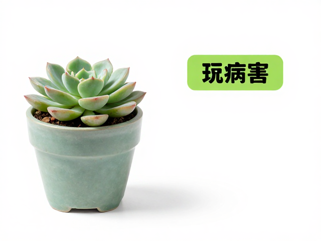 常见病害的识别与物理防治