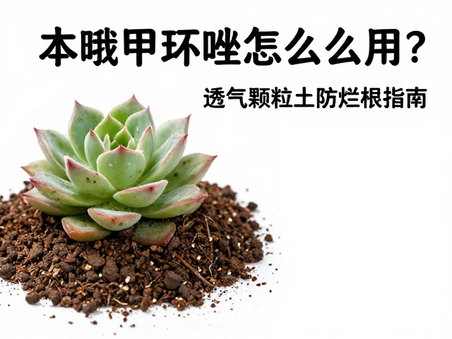 多肉病害识别，苯醚甲环唑怎么用？透气颗粒土防烂根指南