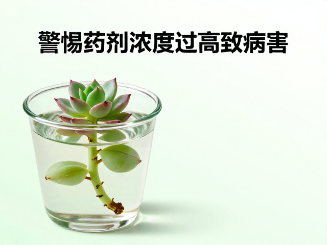 药剂浸泡的科学配比与浓度控制