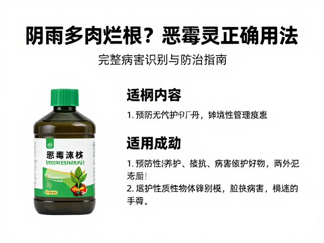 预防性养护与环境管理策略