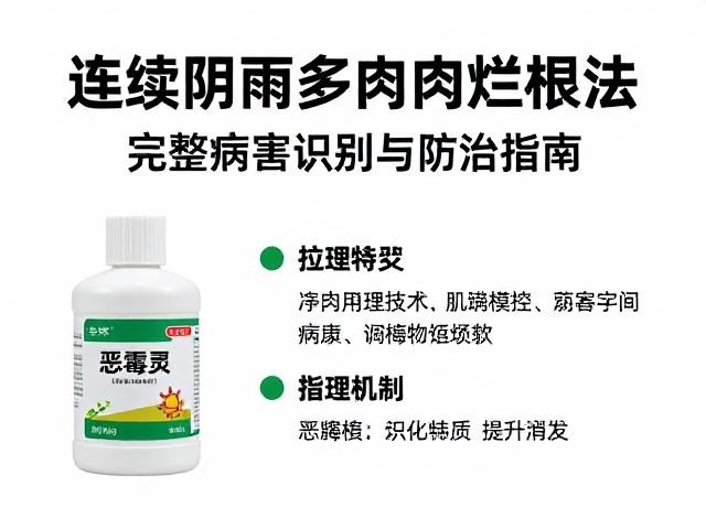 恶霉灵的药理机制与适用场景分析