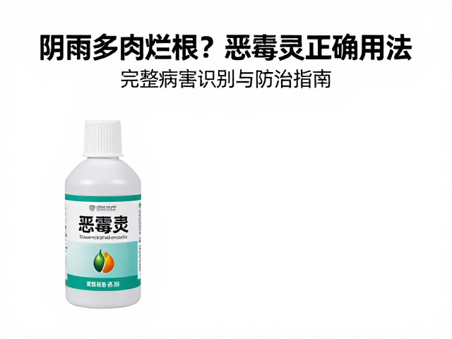恶霉灵的正确稀释比例与施用方法